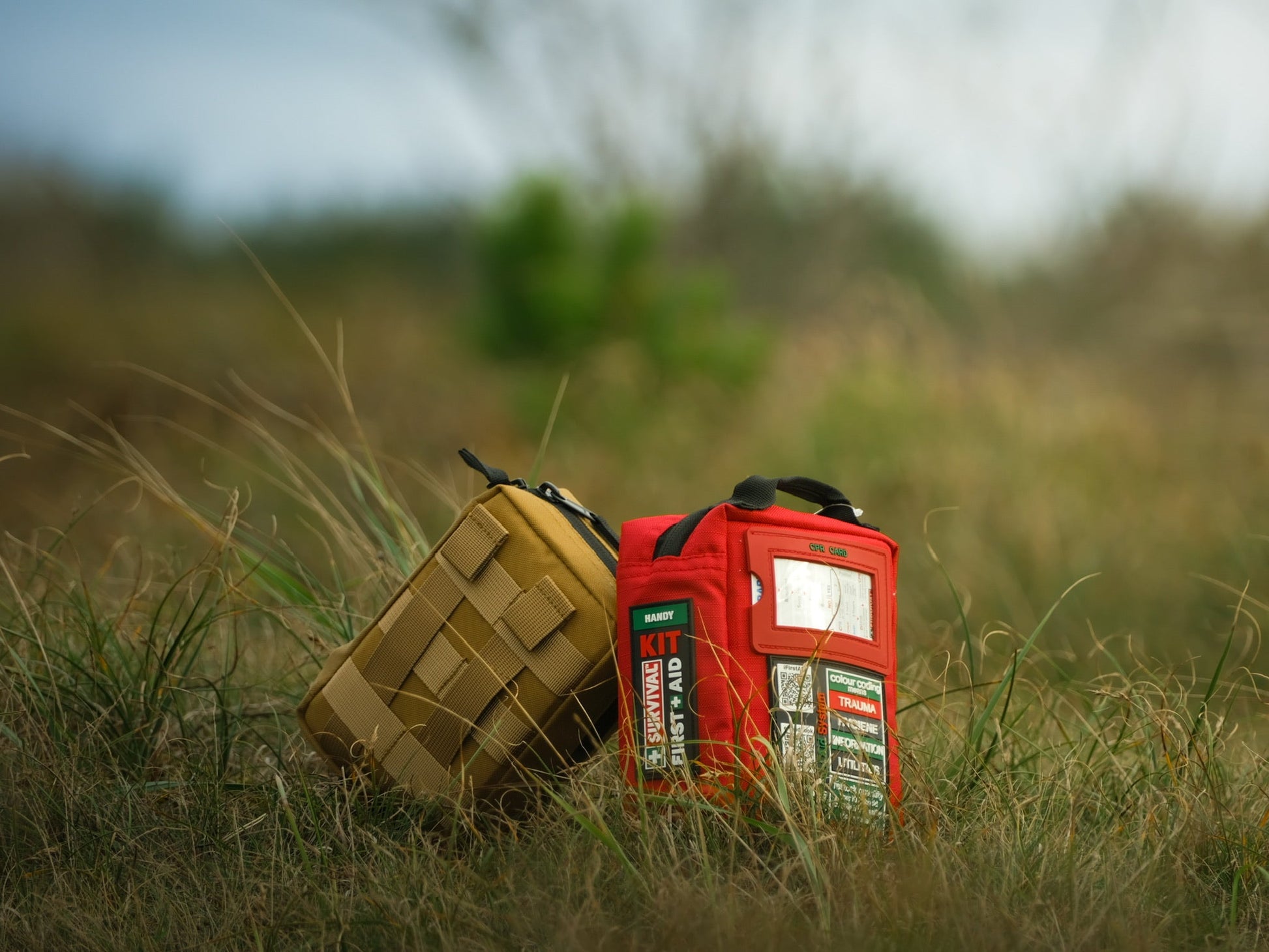 Coyote and red SURVIVAL first aid kits standing in dune grass