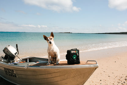 Dog sitting in a boat on the beach with the Pet first aid bag beside it