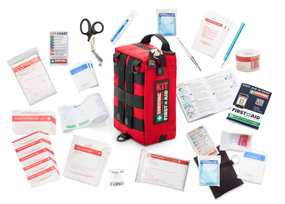 All 53 items laid out around the red Handy case